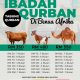 ansuran qurrban akikah